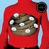 The Wombats – Beautiful People Will Ruin Your Life