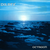Octagon