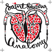 Anatomy