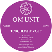 Torchlight, Vol. 2