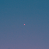 But There's Still The Moon