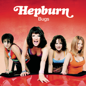 Bugs cover