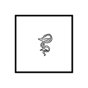 Serpentine City