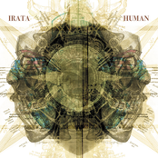 Human