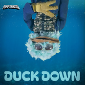 Duck Down