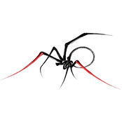 Little Spider