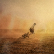 Desert Wanderer