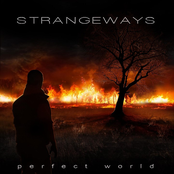 Perfect World