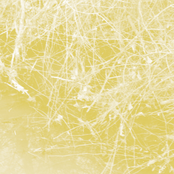 Cursory Asperses