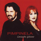 Corazón Gitano cover