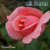 Mil flores