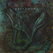 Palace – Greyhound