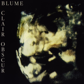 Blume