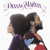 Diana & Marvin cover