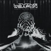 Death In The Family by Living Weapon