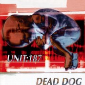 Dead Dog