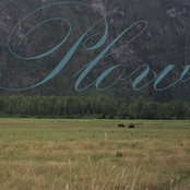 Plow