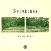 Painfields