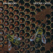 Delicate Cages