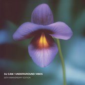 Underground Vibes 30Th Anniversary Edition (Remastered 2025)