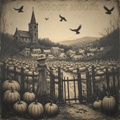 Pumpkin Patch