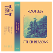 other reasons