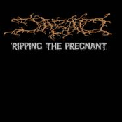 Ripping The Pregnant