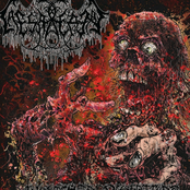 Wretched Decrepitude