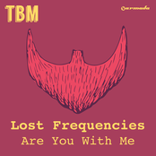 Are You With Me de Lost Frequencies