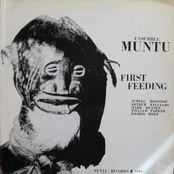First feeding