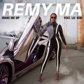 Wake Me Up cover