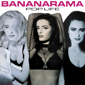 Pop Life cover