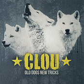 Old Dogs New Tricks
