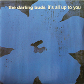 It's All Up To You cover