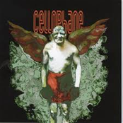 Cellophane