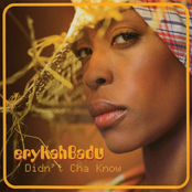 Didn't Cha Know cover