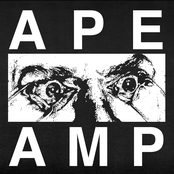 APE AMP
