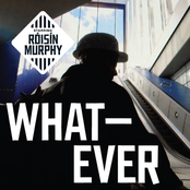 Whatever cover