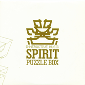 Puzzle Box