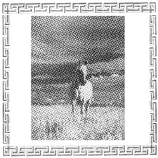 Taming of White Stallion / Secret Fertility Tips