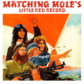 Little Red Record