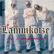 Frei & Ungebändigt