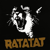 Wildcat