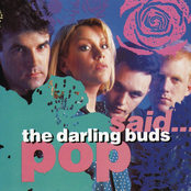 Pop Said... cover