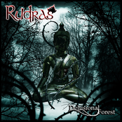 DELUSIONAL FOREST