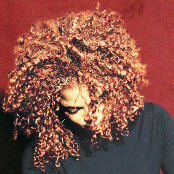 The Velvet Rope cover