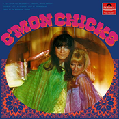 C'mon Chicks cover