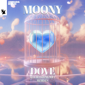 Dove (I'll Be Loving You) [Remixes] cover