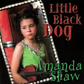 Little Black Dog