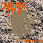 The Ultra-Florescence